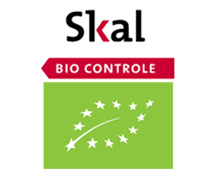 logo SKAL